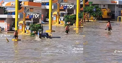 Nio y perrito cruzando inundaciones en Piura