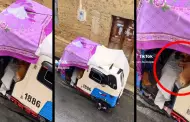 Enternecedor video se vuelve viral en Tik Tok: Joven resguarda de las lluvias a un perro en su mototaxi