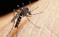 Defensoría alerta más de 20 mil casos de dengue a nivel nacional y 26 muertes en lo que va del año