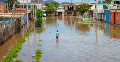 Viviendas, puestos comerciales y cultivos se inundaron por intensas lluvias en 