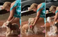 Mujer genera controversia por baar a su perro con el agua de las lluvias