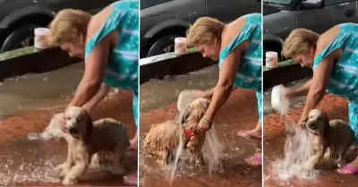 Mujer baa a su perro con agua de las lluvias