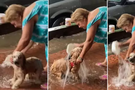 Mujer baña a su perro con agua de las lluvias
