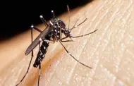 Se incrementan casos de dengue y diarreas en medio de emergencia por desastres naturales, advierte CDC