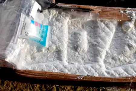Producción de cocaína logra niveles récord.