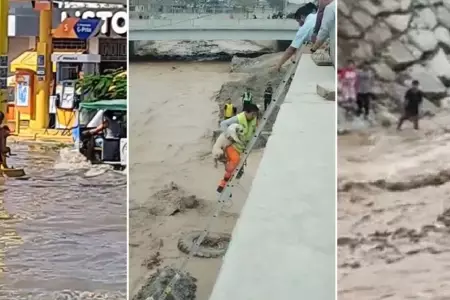 Personas rescatan animalitos sin hogar de las lluvias