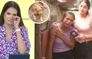 Lorena lvarez rompe en llanto por duea de albergue de animales que perdi todo tras huaico