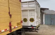 San Antonio de Jicamarca: ¡Para llorar! Ancianos duermen en camiones de carga tras perderlo todo por paso del huaico