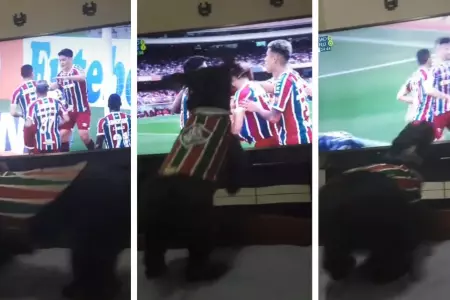 Perrito celebra los goles de Fluminense y es tendencia en TikTok