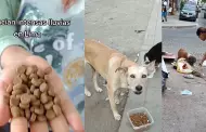 Joven conmueve a sus seguidores al llevar comida a perritos tras intensas lluvias