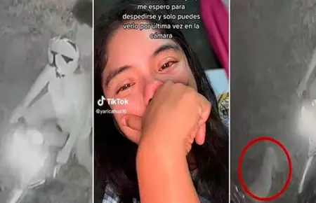 Cmara capta supuesta alma de perrito