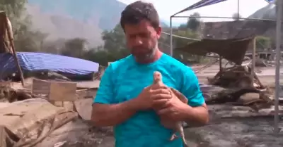 Dueo de centro campestre solo logra salvar a sus cuatro pollos.