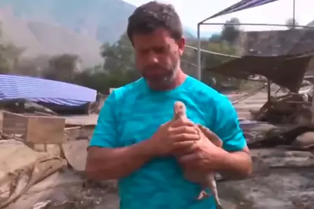 Dueño de centro campestre solo logra salvar a sus cuatro pollos.