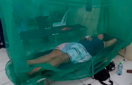 Casos de dengue.