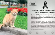 Miraflores: Reportan ola de envenenamiento de gatos del parque Kennedy