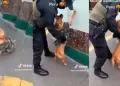 Perrito es intervenido por la Policía