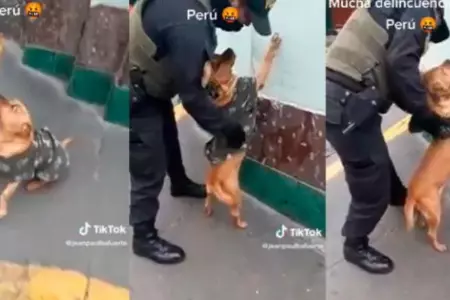 Perrito es intervenido por la Policía