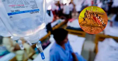 Familias con Dengue en La Esperanza