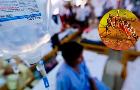 Familias con Dengue en La Esperanza