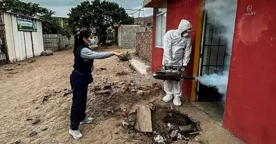Intervienen ms de 11 mil viviendas en Trujillo ante alerta de proliferacin de 