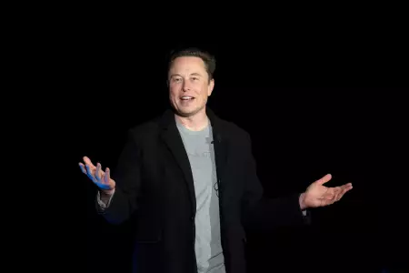 Carta de Musk y cientficos que piden una pausa en la IA desata debate