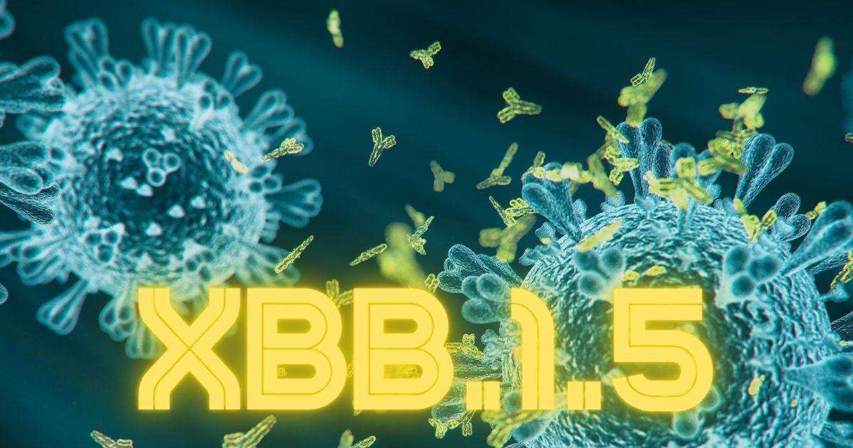 Nueva subvariante del Covid-19 llamada XBB.1.5