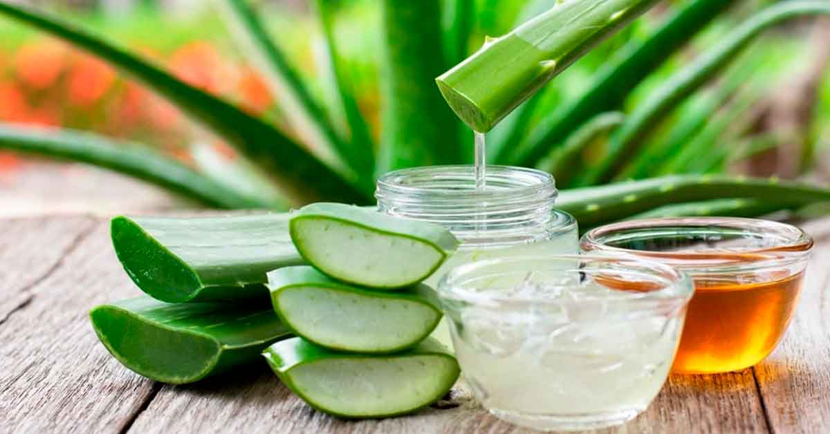 ¿Qué puedo hacer para frenar la caída del cabello?: Conoce 3 remedios naturales para dejar de ver caer mechones de cabello en tu día a día