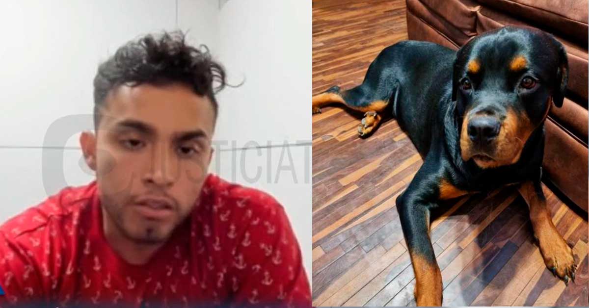 Pj Ordena 9 Meses De Prisión Preventiva Contra Sujeto Que Asesinó A Balazos A Perro En Trujillo 5081