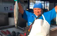 El precio del pescado se mantiene en terminal del Callao