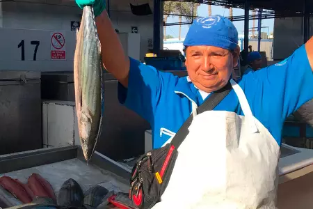 El precio del pescado se mantiene en terminal del Callao.
