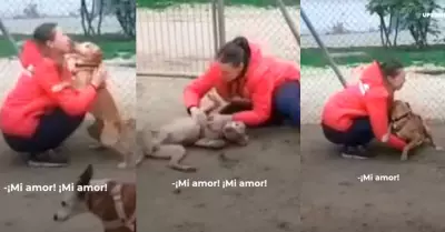 Emocionante recuentro de perrito con su duea.