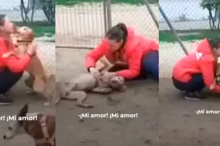 Emocionante recuentro de perrito con su duea.