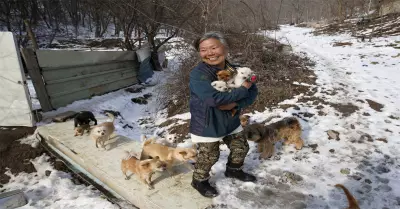 Jung Myung Sook, gran defensora de los animales.