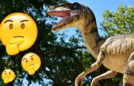 Mujer asegur haber encontrado "garra de dinosaurio", pero su 'hallazgo' confunde a expertos y se vuelve viral