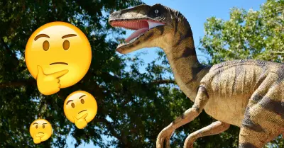 Mujer asegur haber encontrado "garra de dinosaurio", pero 'hallazgo' confunde a