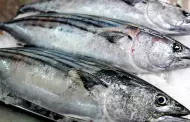 Vas a comprar pescado?: Revisa 7 formas de reconocer si un pescado est fresco