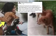 Ivana Yturbe abandon a su perro en calles de Trujillo? Modelo se pronuncia tras grave acusacin