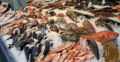 Precios de pescados y mariscos