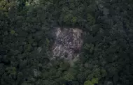 Deforestacin en Amazona brasilea cierra uno de los peores primeros trimestres