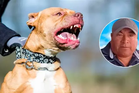 Hombre falleció tras ataque de cuatro perros pitbulls