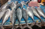 Aumentan precios de pescados en mercado mayorista La Perla