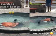 "Un sireno en Chorrillos?": Hombre decidi nadar en una pileta