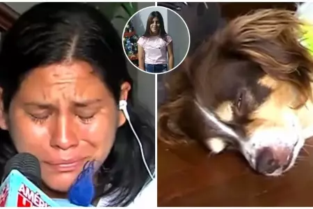 Perro de Katherine Gómez llora