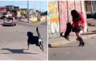 La entraable reaccin de un perrito al reencontrarse con su duea est conquistando TikTok