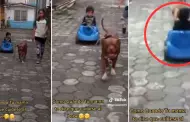 Pura velocidad! Nio en carrito de juguete es impulsado por su mascota y su hermana mayor pasa momento de angustia