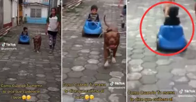 Nio en carrito de juguete es impulsado por su mascota