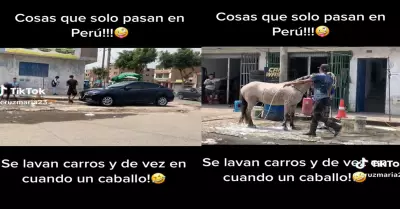 Car wash sorprende en redes sociales al baar caballos.