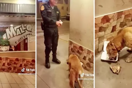 Policía le compra un cuarto de pollo a la brasa a un perrito