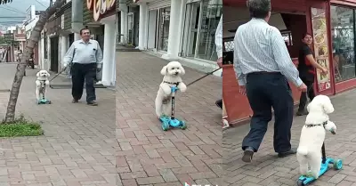 Un seor sorprende en redes sociales al llevar a su perrito en scooter.