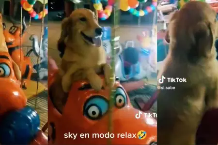 Perro causa furor en redes sociales por divertirse en juego mecnico.